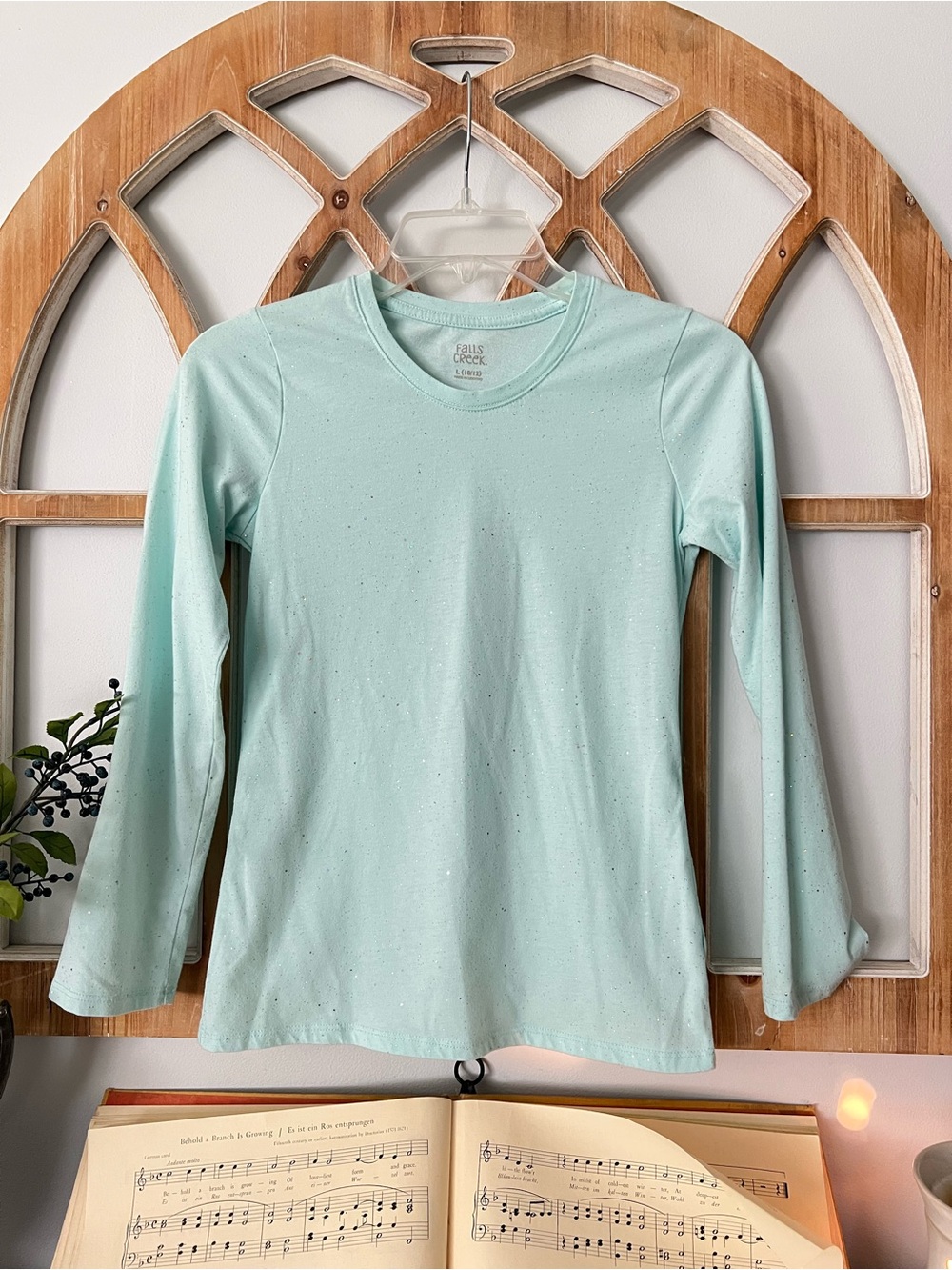 5/$20 Kids SALE ❤️ Falls Creek Mint Long-Sleeve Crewneck Top